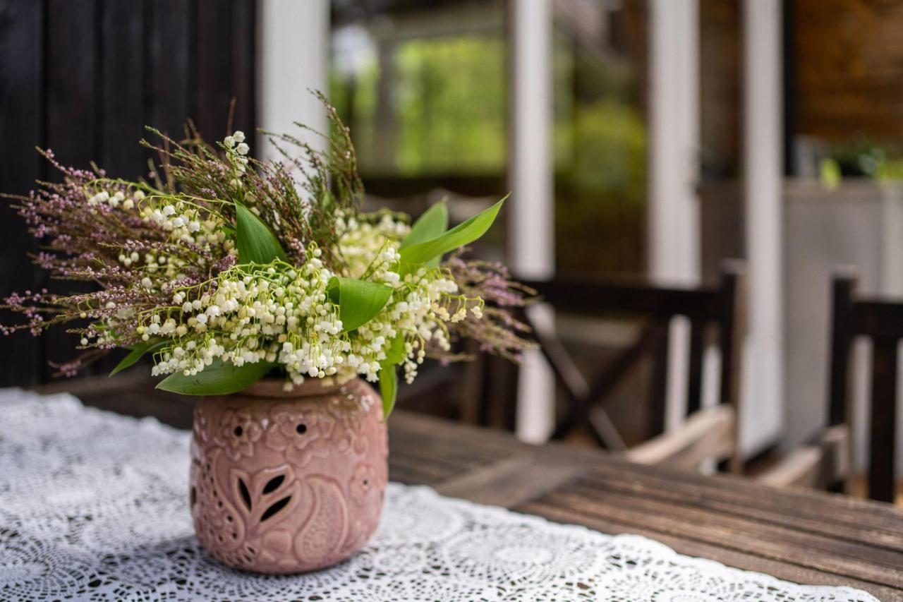 Maro Guesthouse With Sauna Vaana-Joesuu Zewnętrze zdjęcie